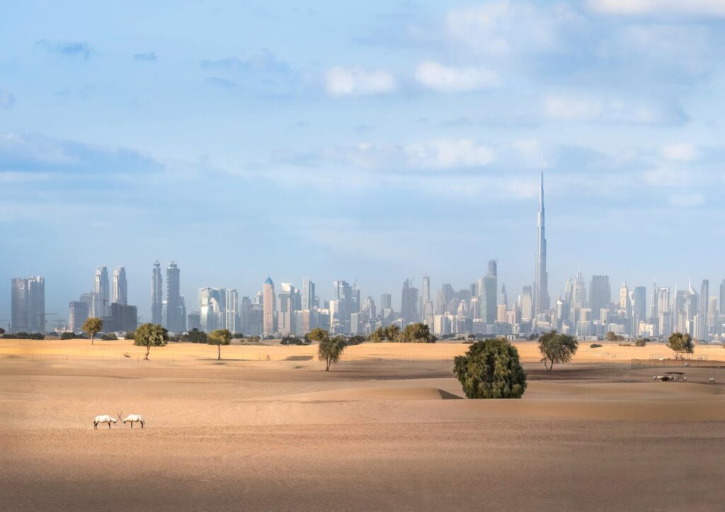 Rising Temperatures & Shifting Lifestyles: How Summer 2025 Is Changing Daily Life in Dubai